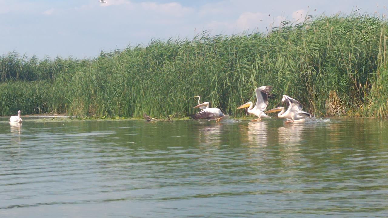 Отель Delta Pontoon Махмудия Экстерьер фото